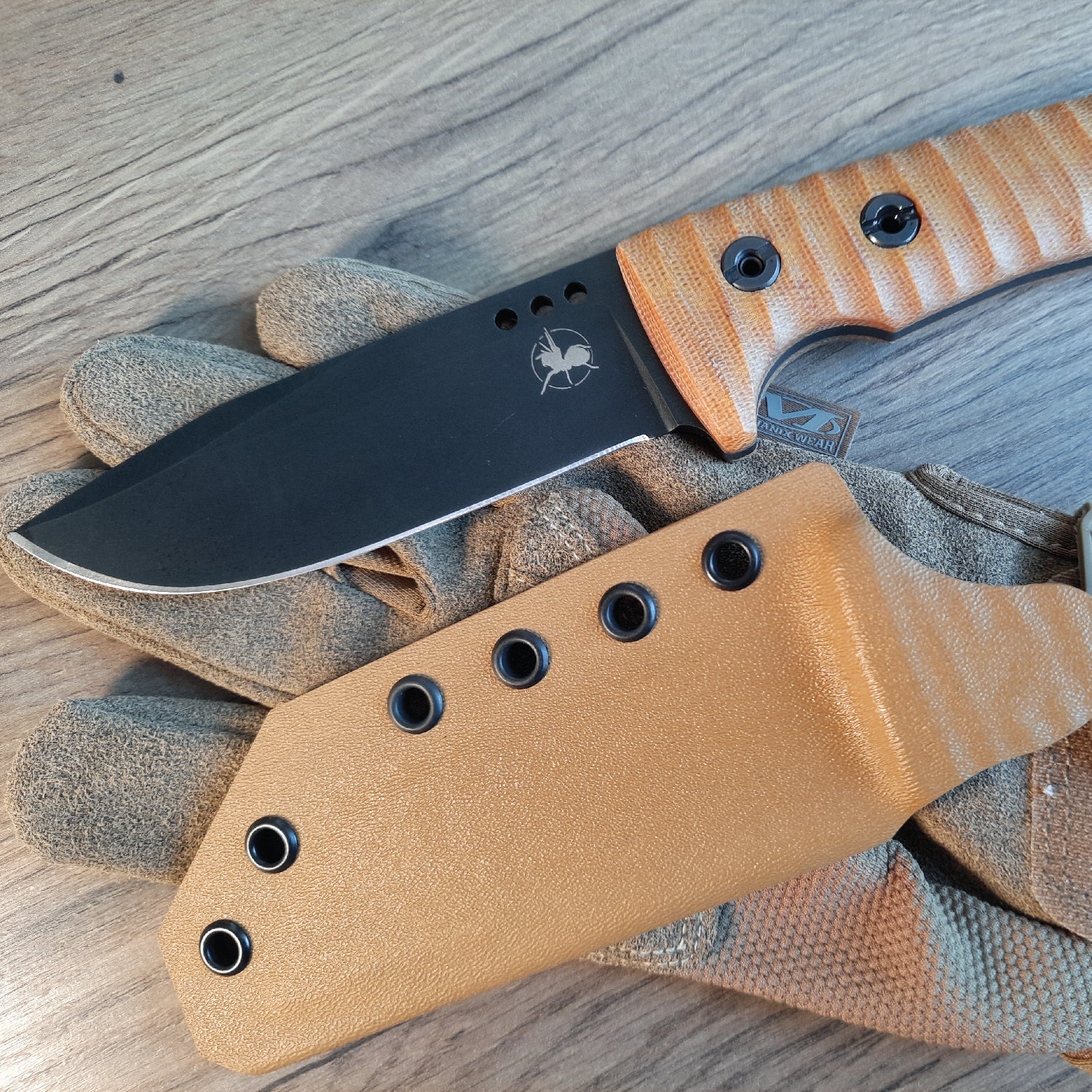 ATRAX WASP Tactical & Daycare Knife