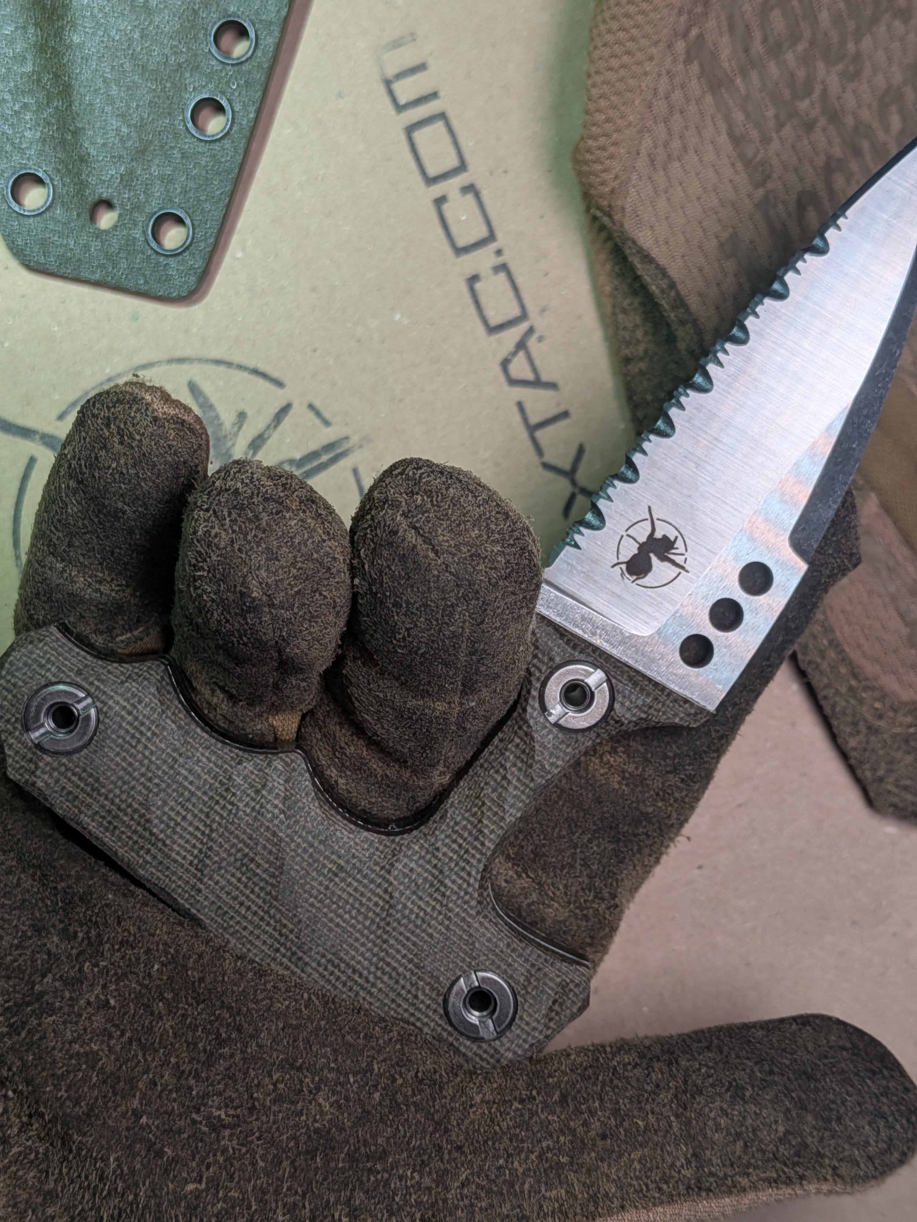 Atrax MORBIUS silver satin tactical Push Knife with green Handle and serration